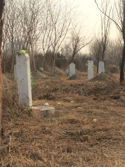 北京晚报:公园密林藏70多个坟包 新坟年年立火灾隐患多
