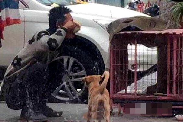 男子将狗粮吃光汪星人睁眼看呆 网友配音:大哥