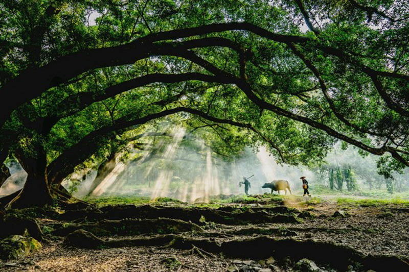 2016 SWPA台湾A7系列摄影比赛获奖名单揭晓