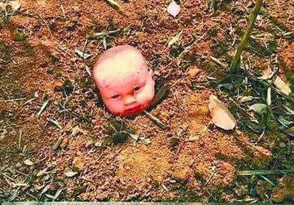  学校花坛长出娃娃  超惊悚网友直呼:吓死爹了! 