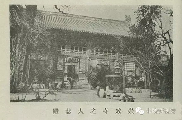 北京流动人口_1953年北京迁入人口