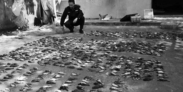 1_%e8%b0%83%e6%95%b4%e5%a4%a7%e5%b0%8f