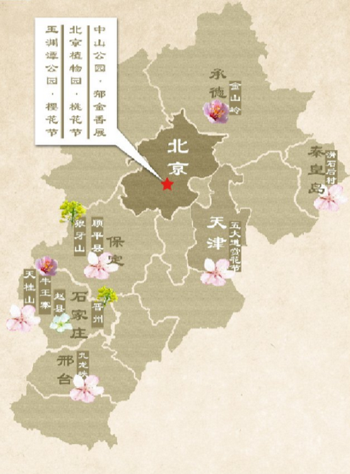 玉渊潭的樱花,中山公园的郁金香,四月中旬盛放的平谷桃花和景山公园图片