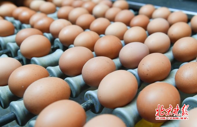 韩国检出本地出产 毒鸡蛋 每日产出2.5万个已紧