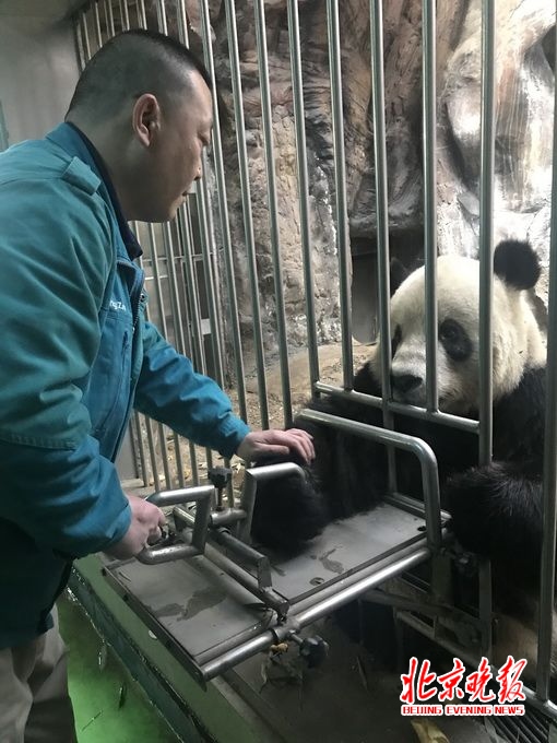 北京动物园饲养员陪宝宝们一起过年 跟动物们