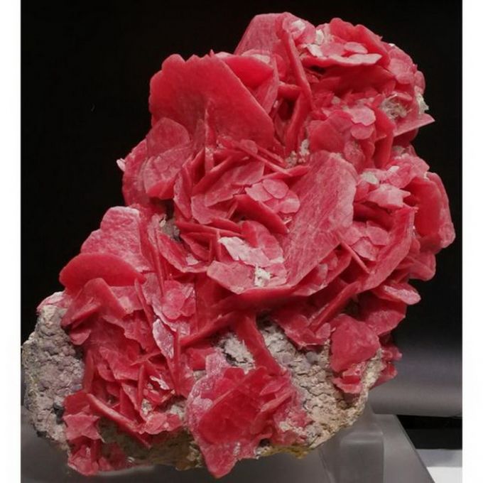 中国矿物精品展中国地质博物馆开幕 "中国皇帝"菱锰矿晶体亮相