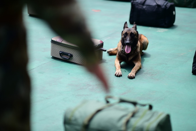 贩毒集团悬赏警犬猎人70000美元 该明星缉毒犬曾发现近10吨可卡因