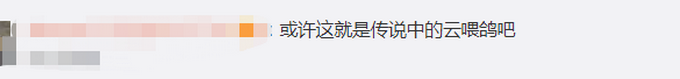 「意大利」迷惑行为大赏，意大利网友对着电视喂鸽子？网友：这集我看过