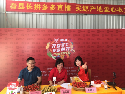 ■两位县长变身“直播达人”：超72万拼多多用户围观，28吨圣女果售罄