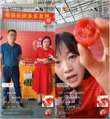 ■两位县长变身“直播达人”：超72万拼多多用户围观，28吨圣女果售罄