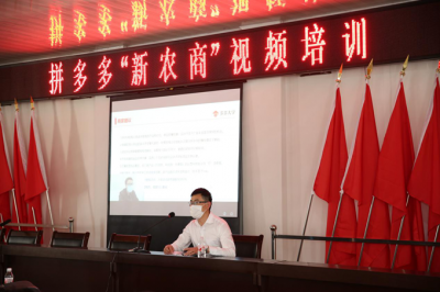 ：拼多多与勐海县签约，助力边疆“直过民族”进入电商时代