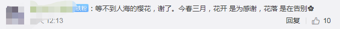 『武汉大学』风雨中武大樱花谢幕，明年三月珞珈相见！