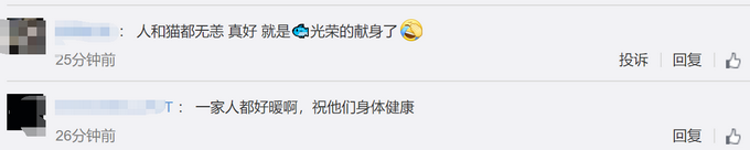 #推荐#武汉一家七口感染新冠住院，猫咪在家独自生活40天，还生了小猫