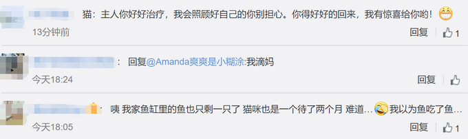 #推荐#武汉一家七口感染新冠住院，猫咪在家独自生活40天，还生了小猫