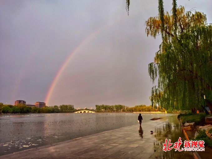 不文明行为@赏花别“伤”花，玉渊潭公园里的这些“家长”，注意你们的行为！