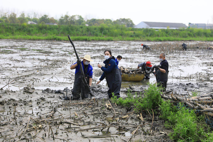 []市委书记直播号召“为湖北拼单”，72万人参与“洪湖经济保卫战”