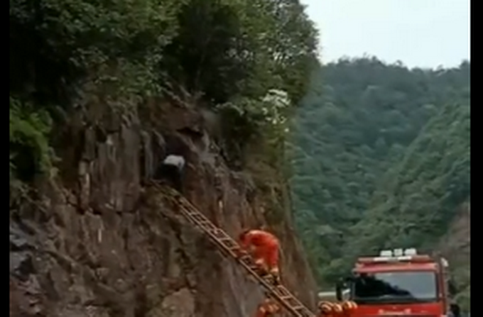 #推荐#路边的野花不要采！温州消防蜀黍昨天救了个“采花大盗”......