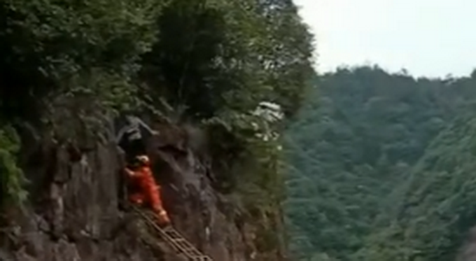 #推荐#路边的野花不要采！温州消防蜀黍昨天救了个“采花大盗”......