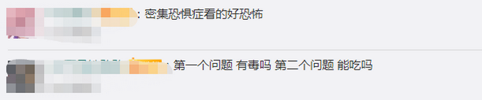 『英国』密恐者慎入！英国海滩被百万神秘昆虫覆盖，有翅膀有点像甲虫