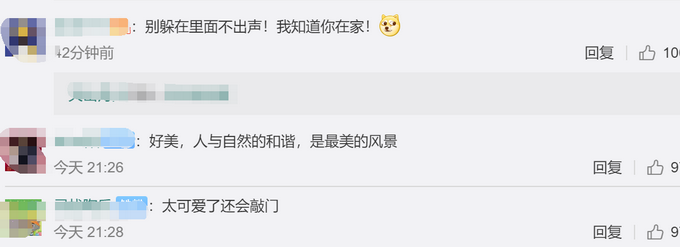 推荐■丹顶鹤赖在牧民家求遛弯，不但不飞走还很黏人，网友评论亮了