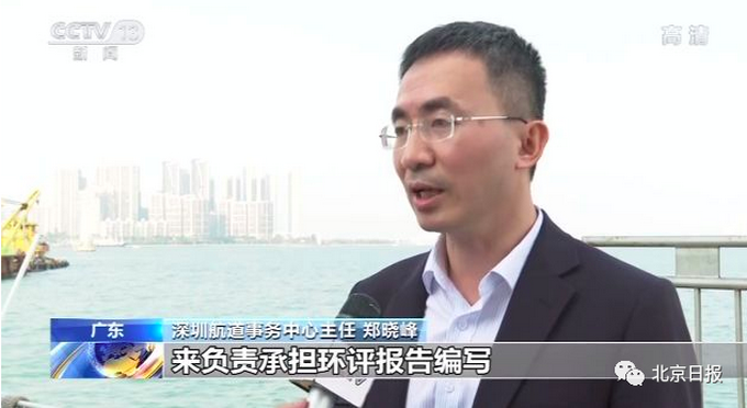 「推荐」连名字都抄！“深圳湾”环评报告造假，出现“湛江”35次