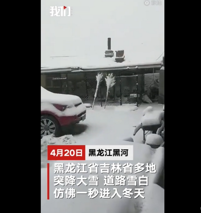 「下雪」黑龙江吉林多地降雪，当地居民直呼出不去屋！网友：看了眼穿短袖的自己
