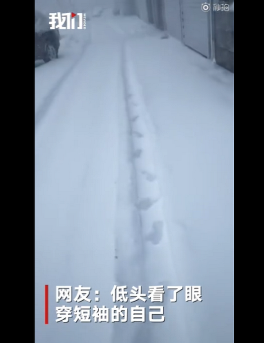 「下雪」黑龙江吉林多地降雪，当地居民直呼出不去屋！网友：看了眼穿短袖的自己