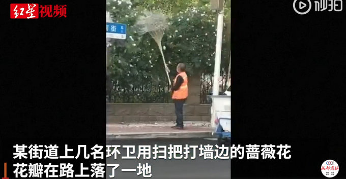 推荐■郑州环卫工打花催落防罚款，官方回应：确有此项罚款，以克论净