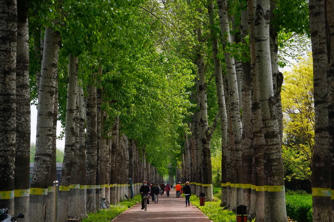 北京天气预报■北京天气最新预报：今明两天仍有7级阵风，明日最高气温可达28℃