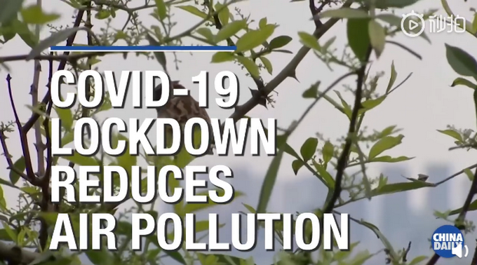 热点▲约克大学教授：英国封城后部分地区空气污染降六成