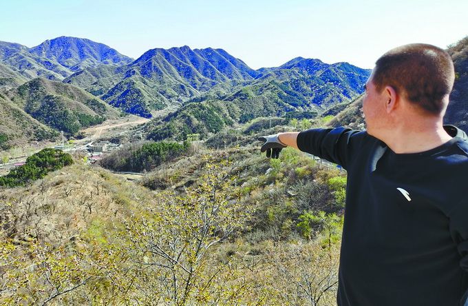 #长城#实拍“长城卫士”：年幼在长城玩耍，长大后为它筑起一道“防御墙”