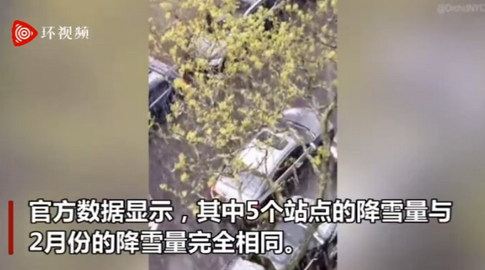 祸不单行!纽约遭遇罕见暴风雪袭击 难以置信的五月飞雪是怎么回事  