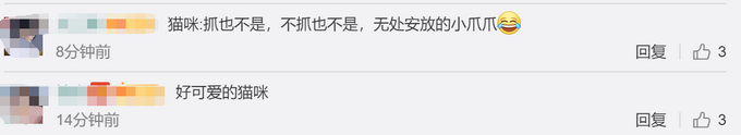 推荐喵咪被呼噜声吵得睡不着，思前想后努力克制，几次冲上去想打人