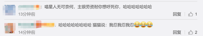 推荐喵咪被呼噜声吵得睡不着，思前想后努力克制，几次冲上去想打人