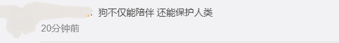 四川江油黑熊再进村，这次被土狗驱离！此前有黑熊在邻村致人死亡