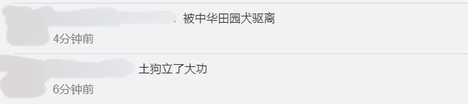 四川江油黑熊再进村，这次被土狗驱离！此前有黑熊在邻村致人死亡