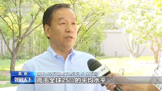 红树林第十二个世界海洋日：强化修复红树林，现有面积约2.9万公顷