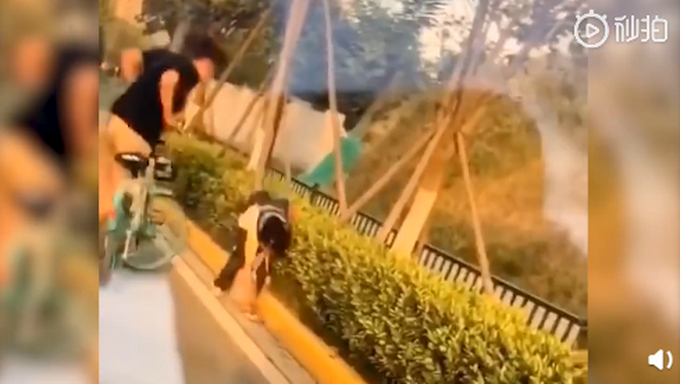 可恶！女子用自行车撞击并掌掴女童，网友集体愤怒