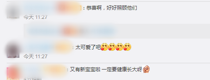 推荐219克！艾莉生下成都熊猫基地最重宝宝，网友：联想到熊猫版回家的诱惑