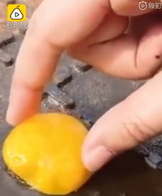 推荐测温计已到极限！内蒙古市民井盖上煎蛋，多地气温达40℃以上