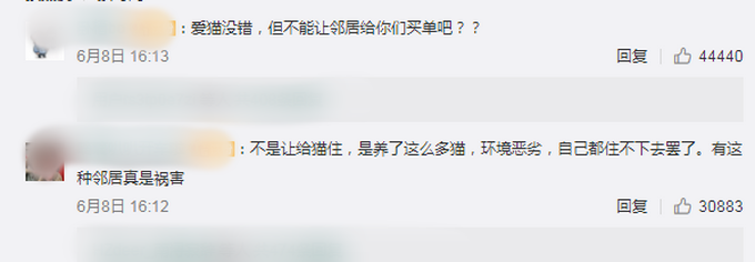 推荐上海一夫妻搬家把房让给66只猫，邻居：半夜被吵醒，晾衣服会有跳蚤