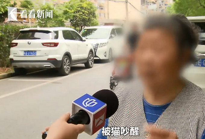 推荐上海一夫妻搬家把房让给66只猫，邻居：半夜被吵醒，晾衣服会有跳蚤