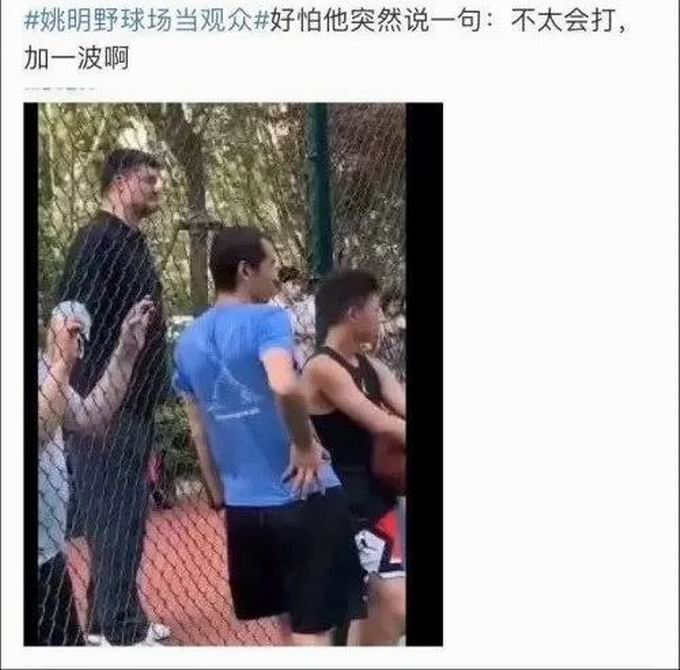 姚明姚明野球场当观众，网友：好怕他说“加一波”