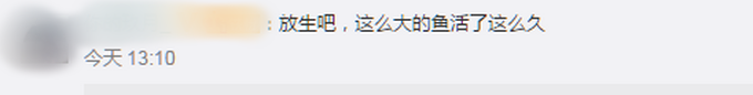 网曝景德镇居民钓到上百斤大鱼，身长接近一人高！看呆村民