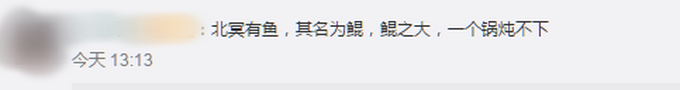 网曝景德镇居民钓到上百斤大鱼，身长接近一人高！看呆村民