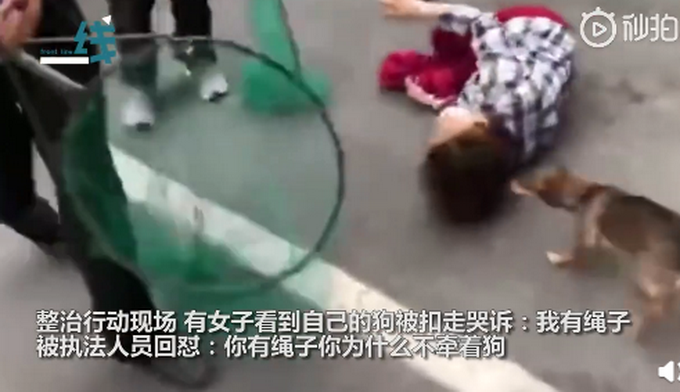 推荐女子遛狗不栓绳，狗被抓后倒地哭喊“我有绳”，执法人员当场回怼
