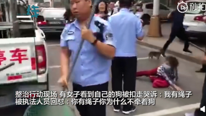 推荐女子遛狗不栓绳，狗被抓后倒地哭喊“我有绳”，执法人员当场回怼