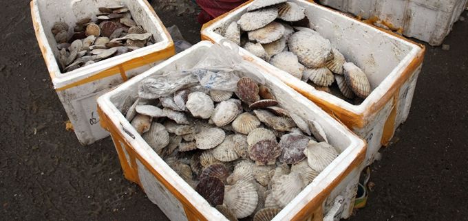 京深海鲜京深海鲜市场暂时关闭，不让进也不让出