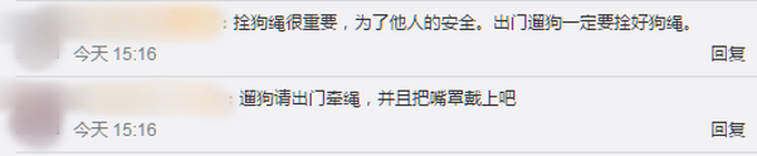 为何不栓绳！男童遭大狗疯狂追咬缝3针：狗主人抱起他后仍被扑咬