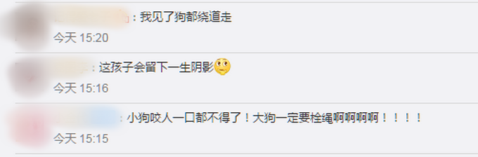 为何不栓绳！男童遭大狗疯狂追咬缝3针：狗主人抱起他后仍被扑咬